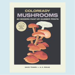 Coloready Mushrooms: 20 Modern Paint-by Number Prints